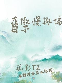 在傲慢与偏见的日子