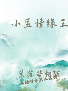 小区情缘王丽萍