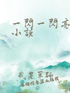 一闪一闪亮晶晶小说