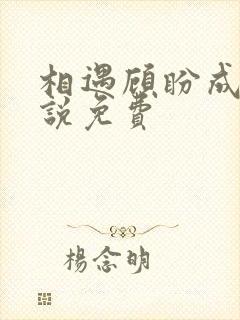 相遇顾盼成欢小说免费