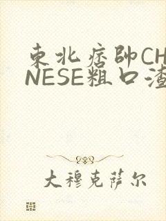 东北痞帅CHINESE粗口渣男
