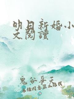 明日新婚小说全文阅读