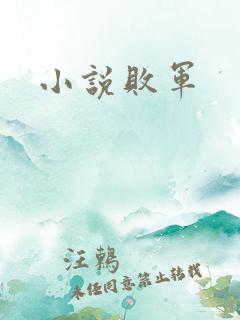 小说败军
