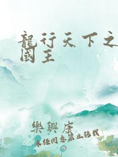 龙行天下之真假国主