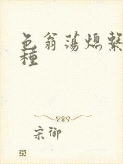 色翁荡熄系列借种