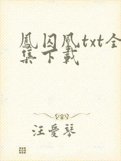 凤囚凰txt全集下载