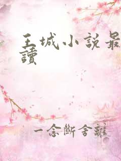 王城小说最近阅读