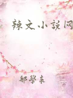辣文小说网