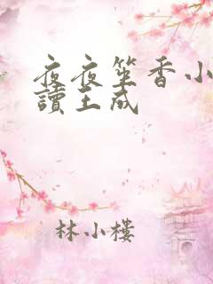 夜夜笙香小说阅读王成