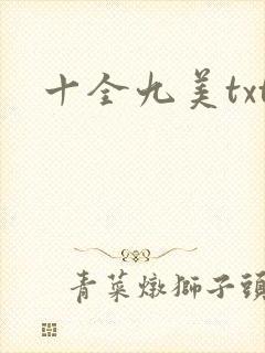 十全九美txt