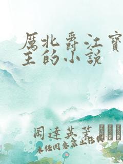 厉北爵江宝宝男主的小说