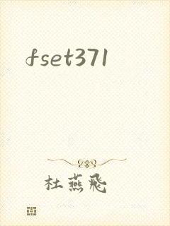 fset371