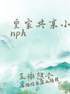 皇家共享小公主nph