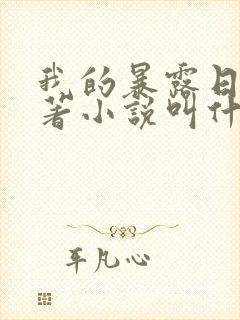 我的暴露日记原著小说叫什么