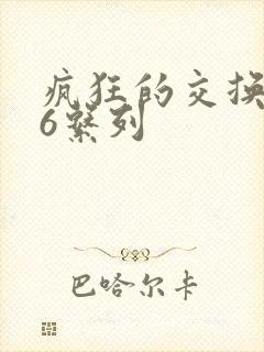 疯狂的交换1一6系列