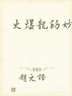 火爆龙的妙管家