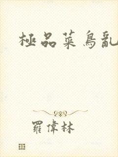 极品菜鸟乱江湖