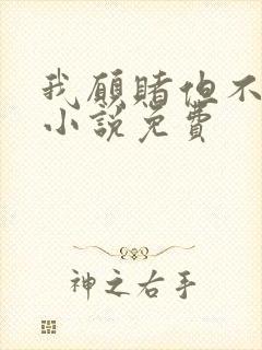 我愿赌但不服输小说免费