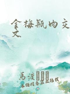 金梅瓶肉交白话文