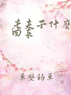 老夫子什么时候回来