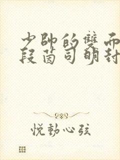 少帅的双面宠妻段茵司明封免费