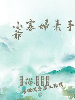 小寡妇素手擒四爷