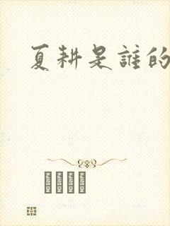 夏耕是谁的女婿