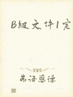 B级文件1完整