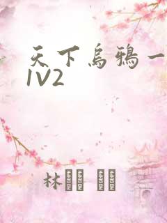 天下乌鸦一般黑1V2