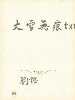 大雪无痕txt