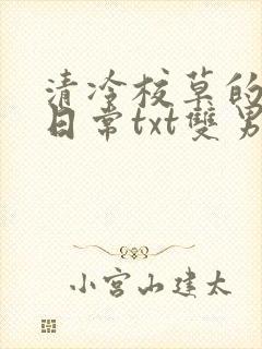 清冷校草的抹布日常txt双男主