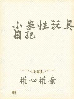 小米性玩具羞辱日记