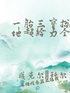 一胎三宝总裁爹地超给力全文免费阅读