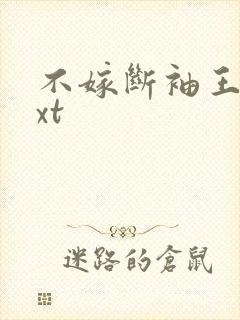 不嫁断袖王爷txt