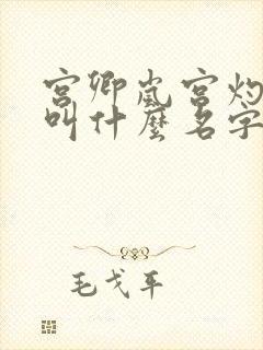 宫卿岚宫灼小说叫什么名字