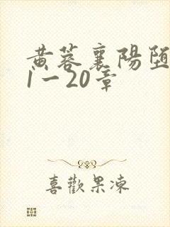 黄蓉襄阳堕落史1一20章