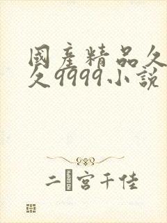 国产精品久久久久9999小说