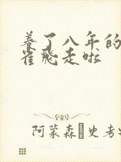 养了八年的金丝雀飞走啦