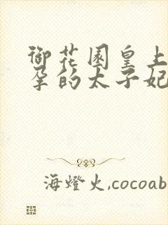 御花园皇上c有孕的太子妃