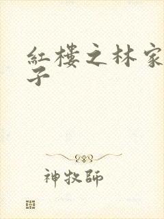 红楼之林家庶长子