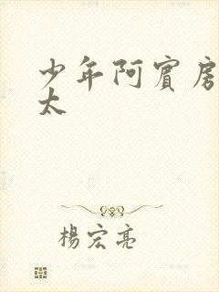 少年阿宾房东太太