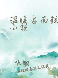 温暖占南弦尹衿小说