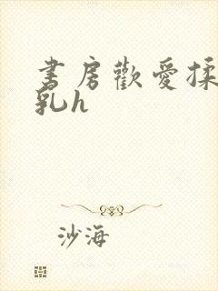 书房欢爱揉捏娇乳h