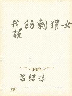 我的刺猬女孩小说