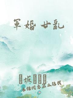 军婚 廿乱