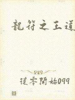 龙符之王道天下