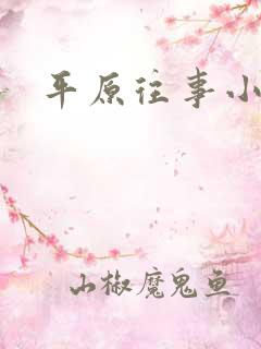 平原往事小说