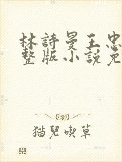 林诗曼王忠文完整版小说免费阅读