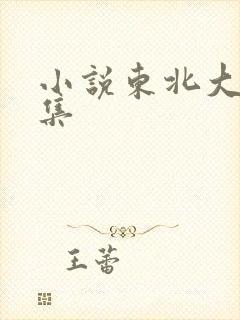 小说东北大炕全集