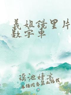 义姐镜里片微博数字车